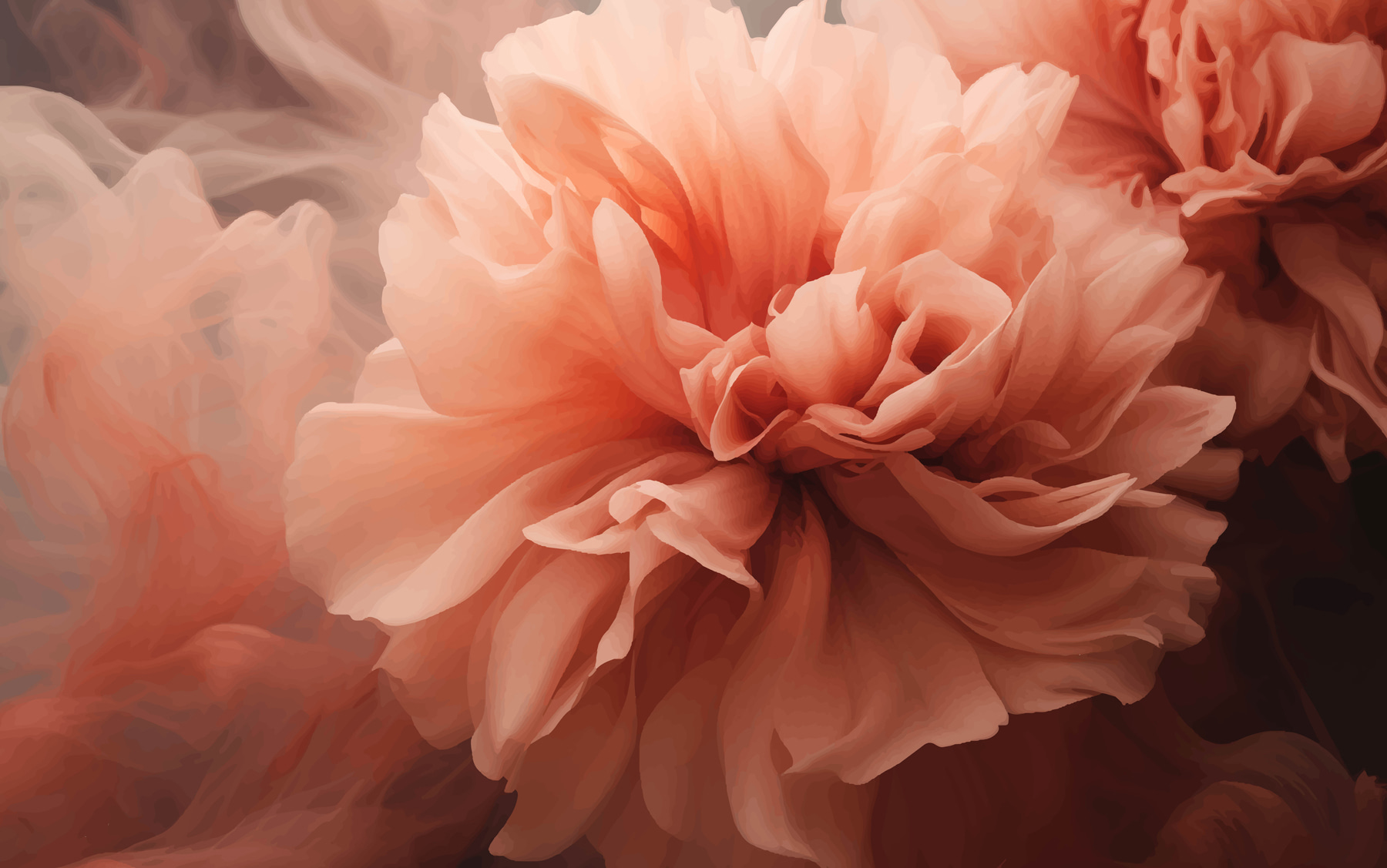 Close up of a flower