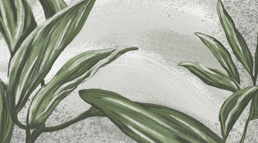Close up of leaves