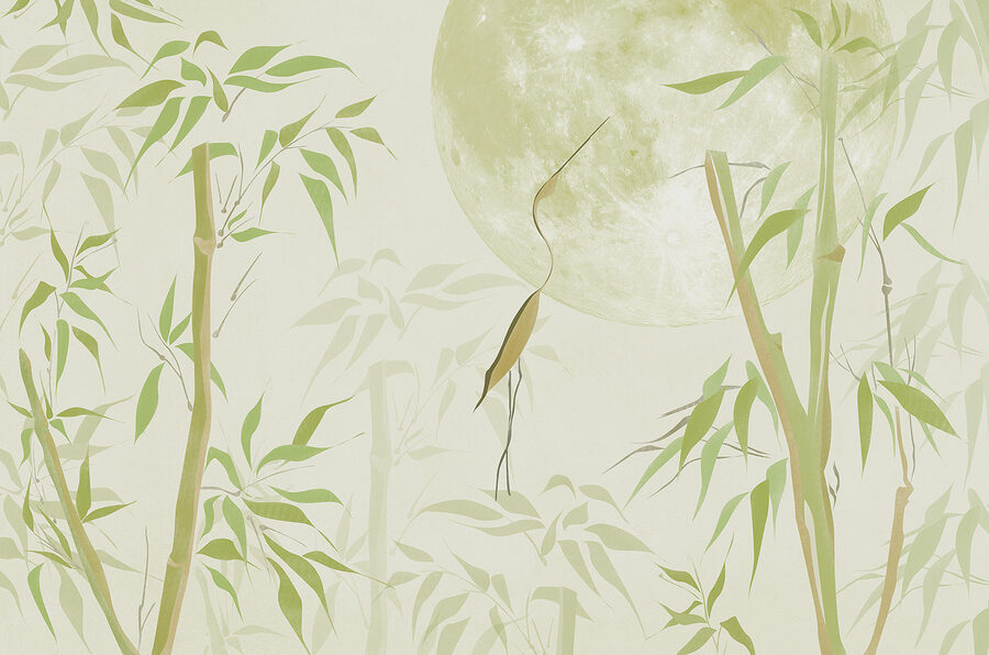 Wall murals Bamboo trees and a moon - Image 3