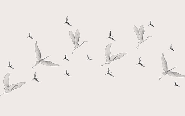 Flock of birds flying Flock of birds flying