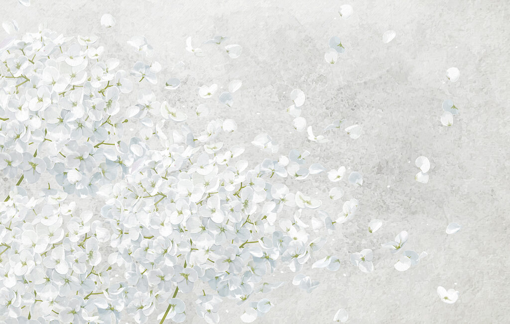 Bunch of white flowers Bunch of white flowers