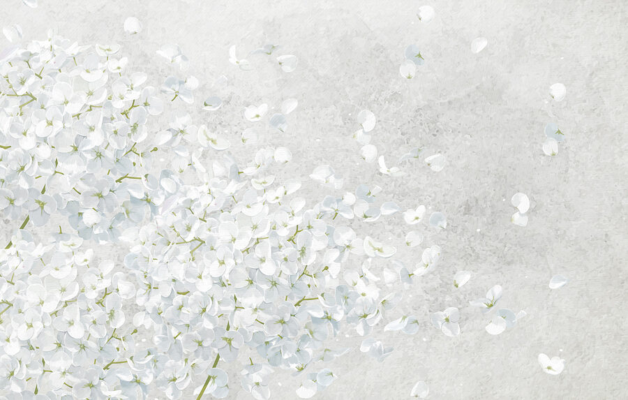 Bunch of white flowers Bunch of white flowers