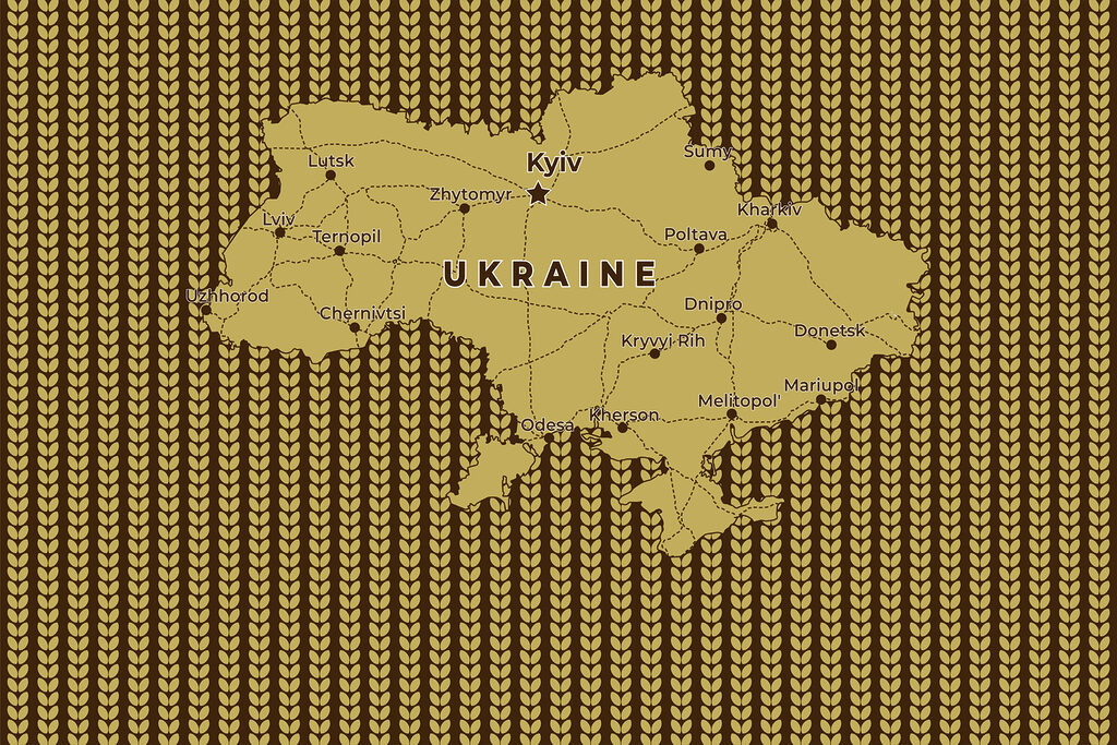 Map of ukraine with lines and cities