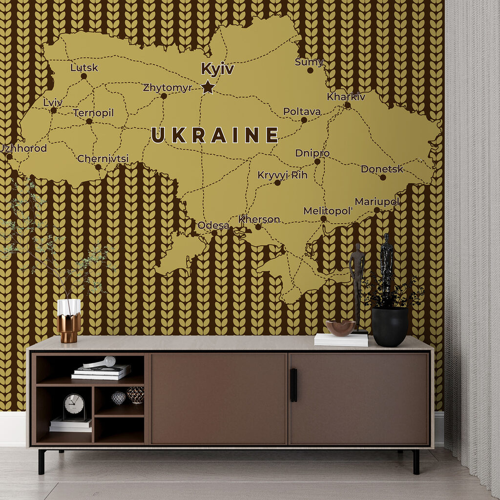 Map of ukraine with lines and cities
