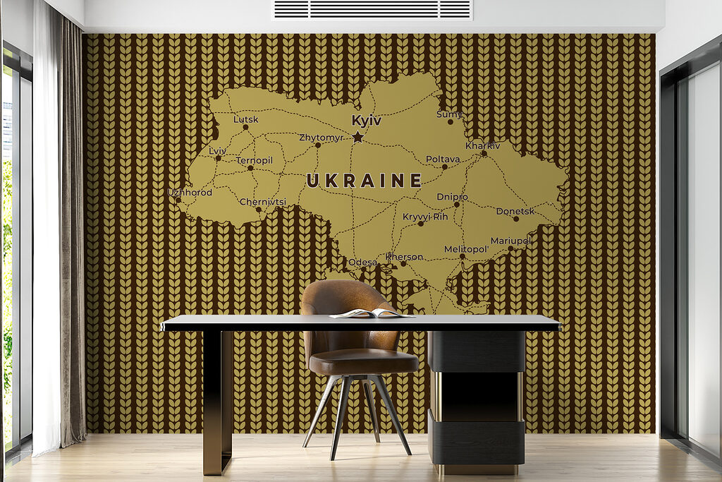 Map of ukraine with lines and cities