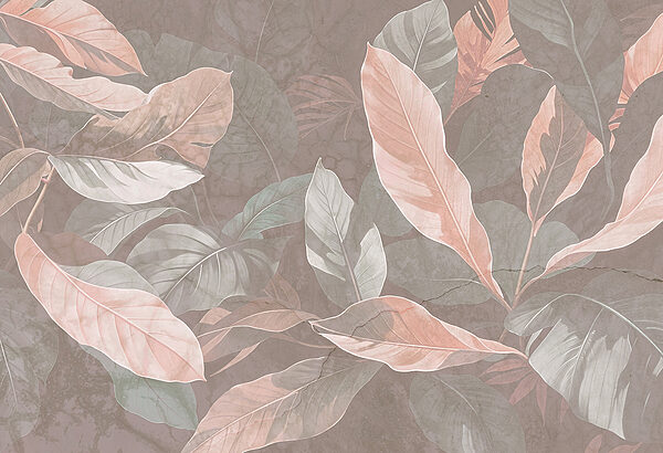 Close up of leaves Close up of leaves