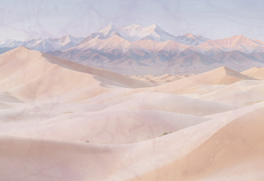 Sand dunes with mountains in the background