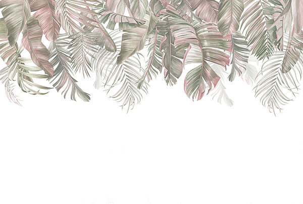 Close up of leaves