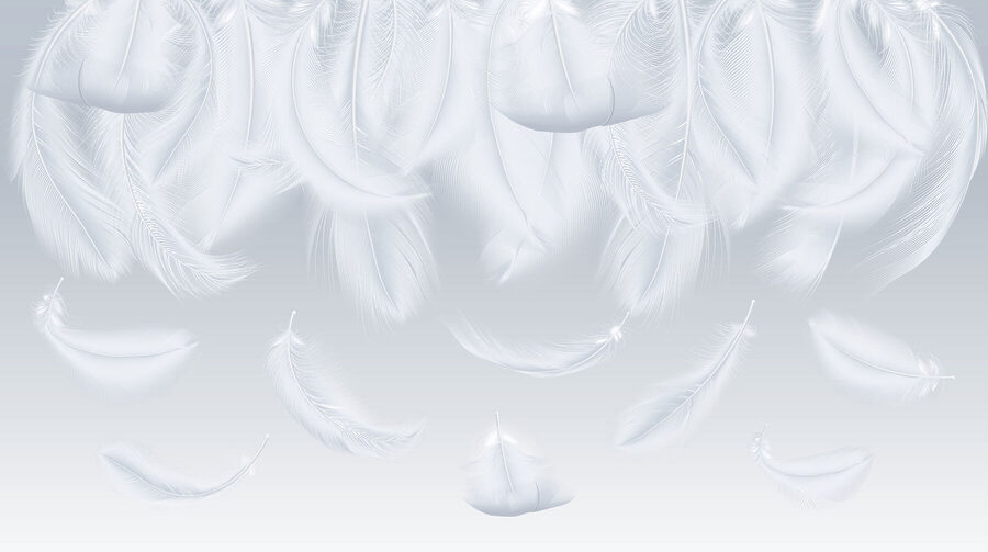 Wall murals White feathers falling down - Image 3