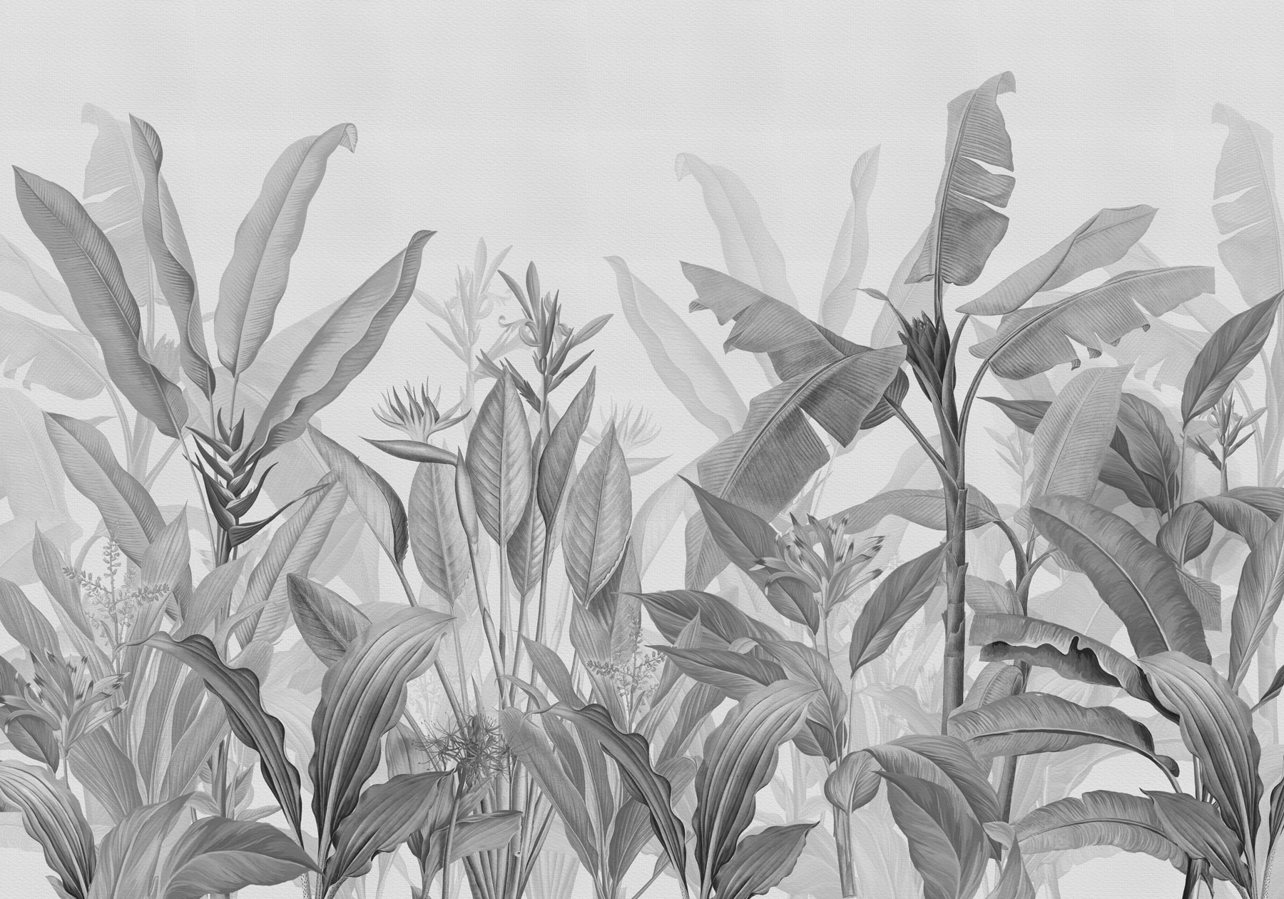 Close up of plants Close up of plants