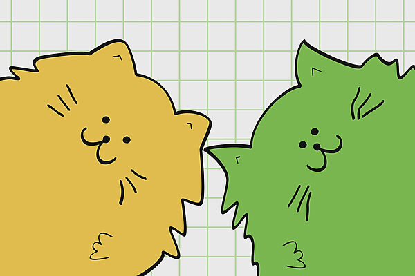 Yellow and green cat Yellow and green cat
