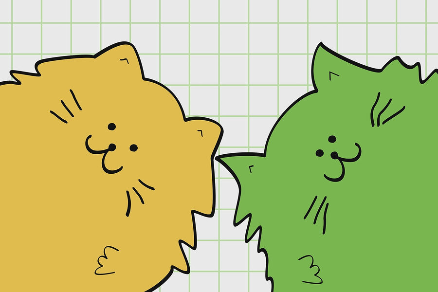 Yellow and green cat