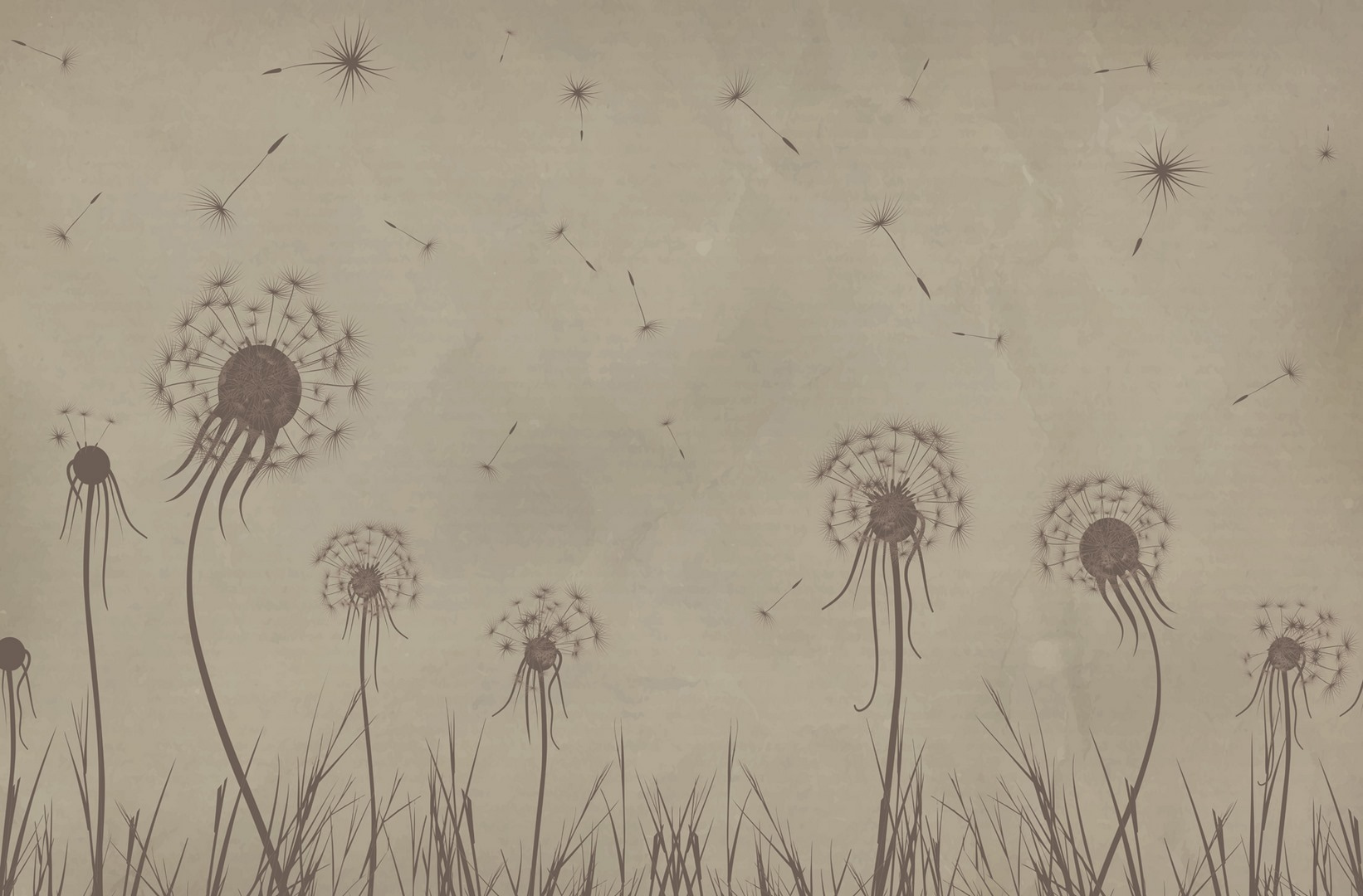 Dandelion seeds flying in the sky Dandelion seeds flying in the sky