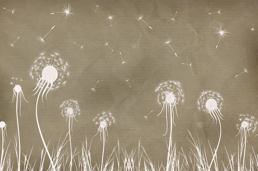 Dandelion flowers and grass