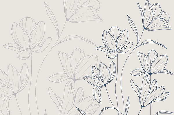 Drawing of flowers on a white background Drawing of flowers on a white background