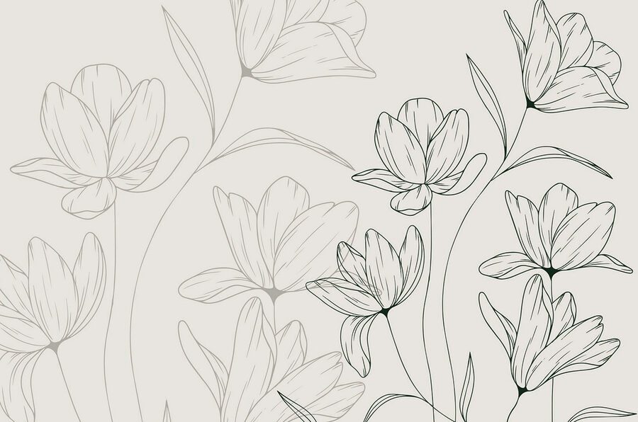 Drawing of flowers on a white background Drawing of flowers on a white background