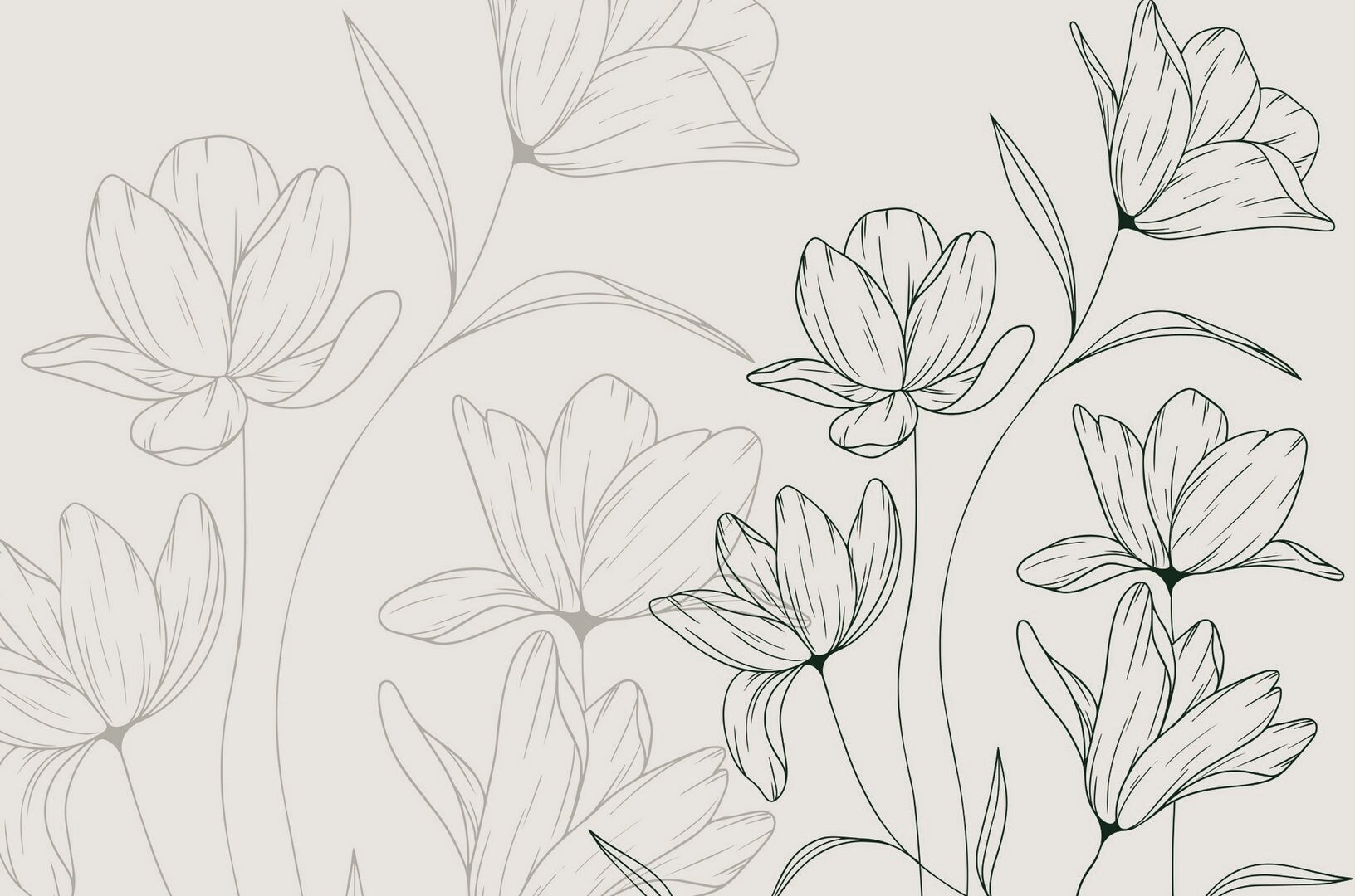 Drawing of flowers on a white background