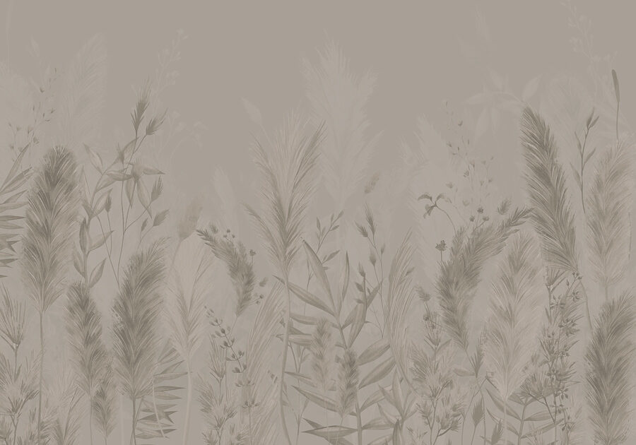 Soft textures of nature’s beauty.
