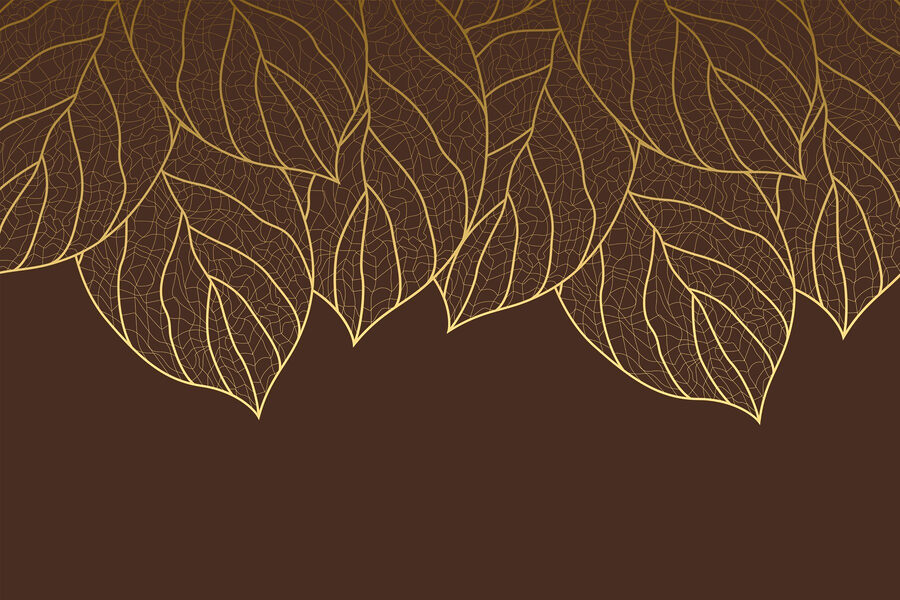 Group of leaves on a brown background