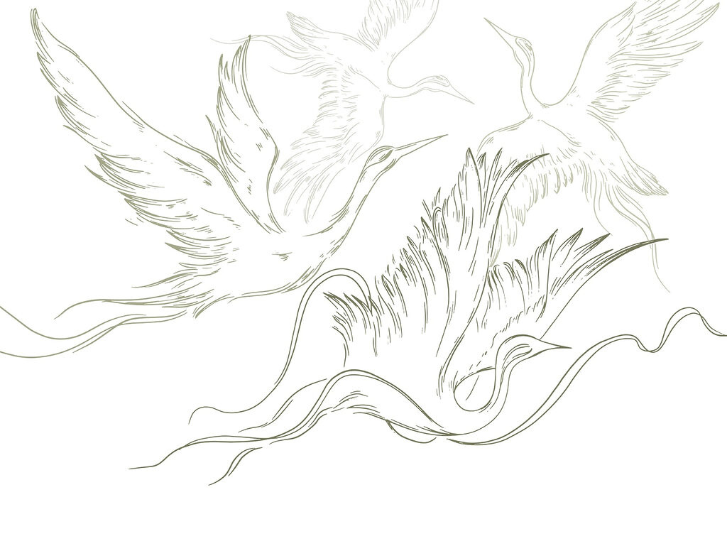 Drawing of birds flying