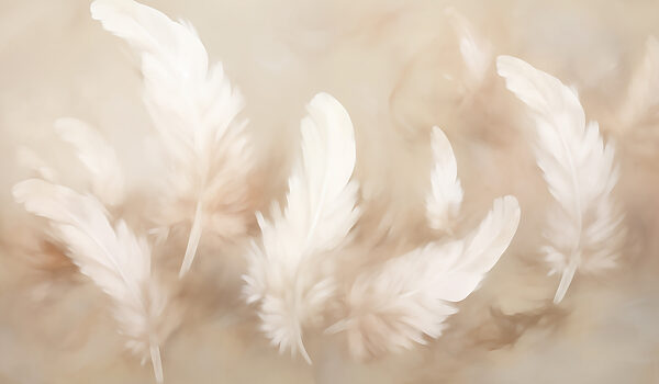 Group of white feathers