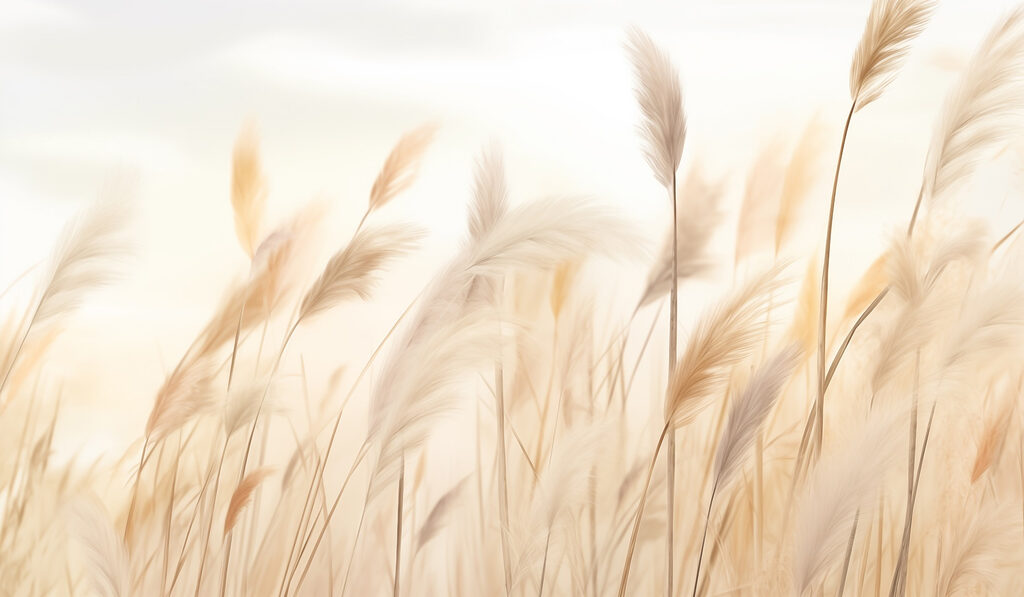 Soft grasses in gentle breeze