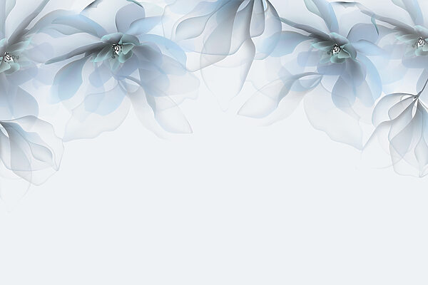 Group of flowers with white and blue flowers Group of flowers with white and blue flowers