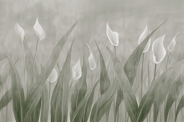 Delicate blooms in soft hues Delicate blooms in soft hues