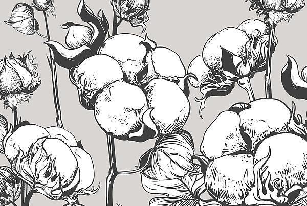 - Delicate cotton blooms in monochrome - Delicate cotton blooms in monochrome