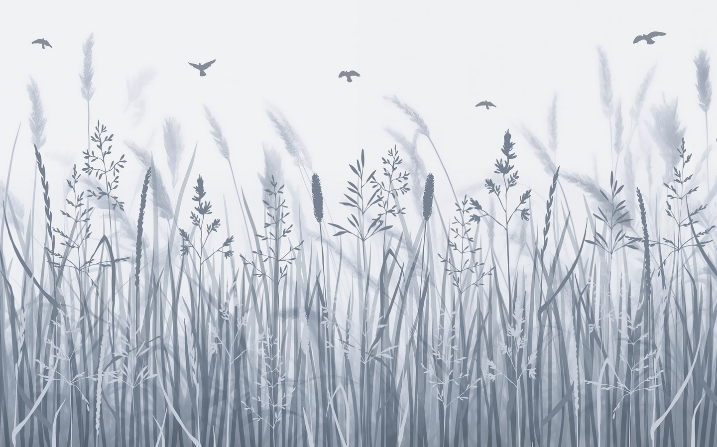 Field of grass with birds flying