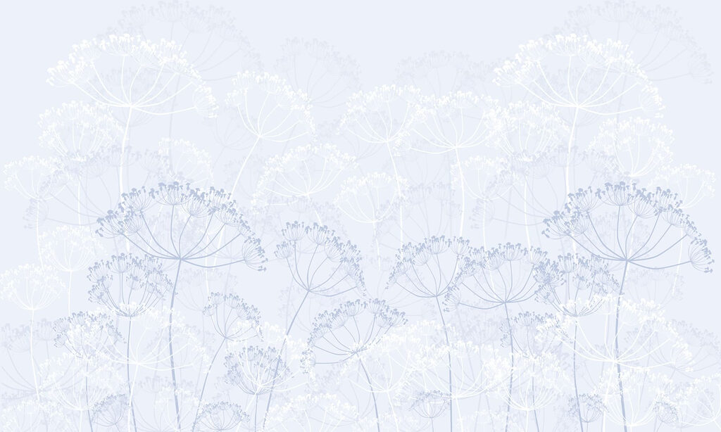 Delicate blooms in soft hues Delicate blooms in soft hues