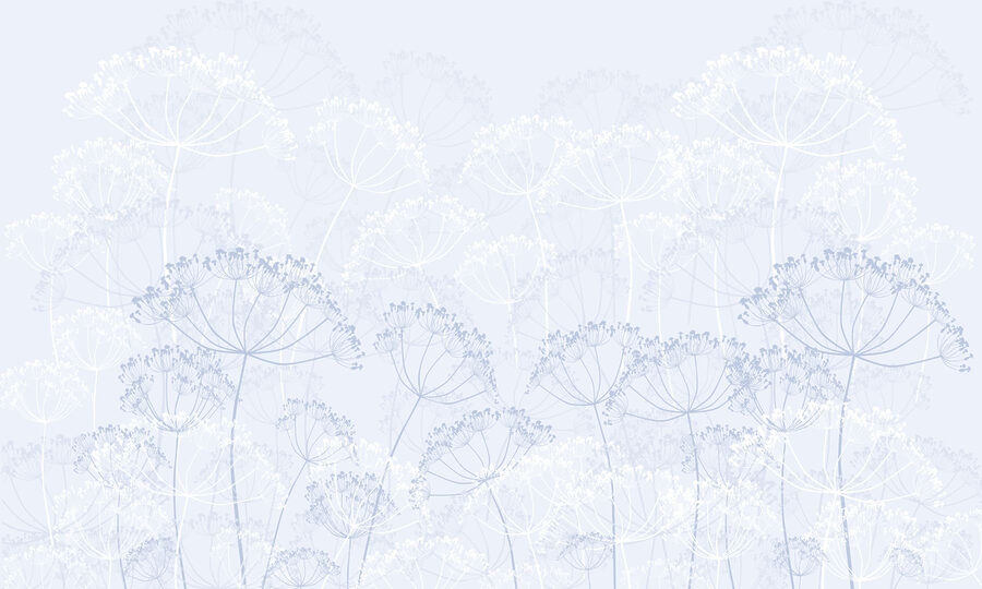 Delicate blooms in soft hues Delicate blooms in soft hues