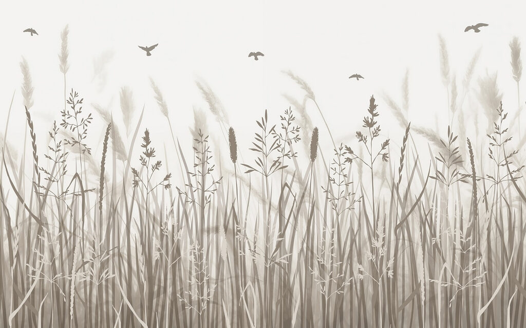 w02119p 1024x639 - Field of grass with birds flying - tegory