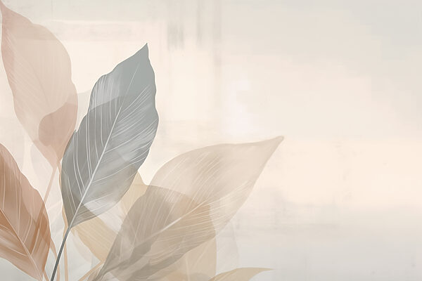 Soft hues of nature’s design Soft hues of nature’s design