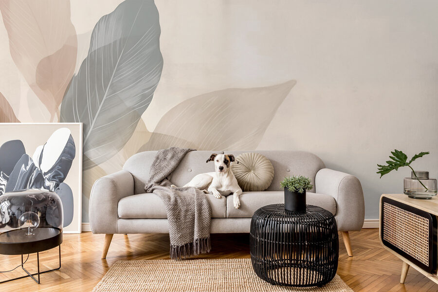 Soft hues of nature’s design