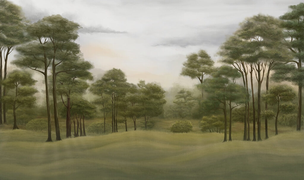 Landscape with trees and grass