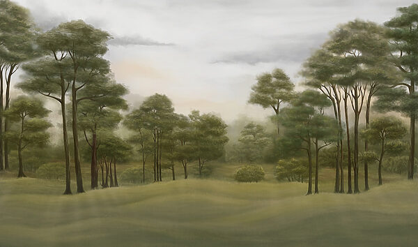 Landscape with trees and grass