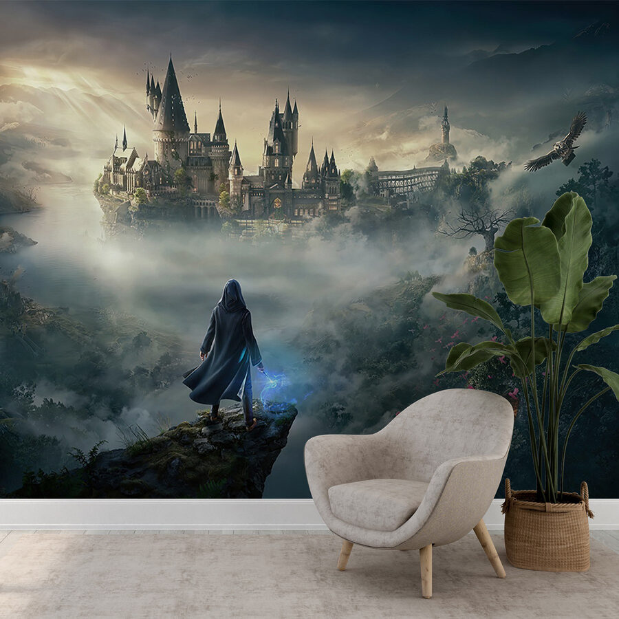 Wall murals Person standing on a cliff looking at a castle