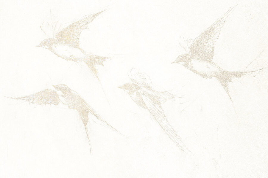 Wall murals Group of birds flying - Image 5