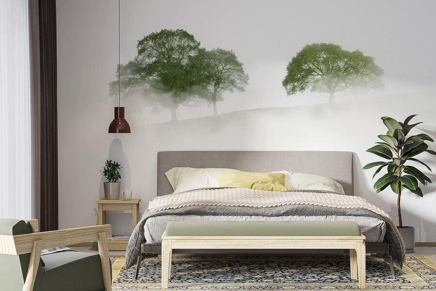 Trees in the fog