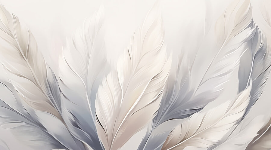 Wall murals Group of white and grey feathers - Image 4