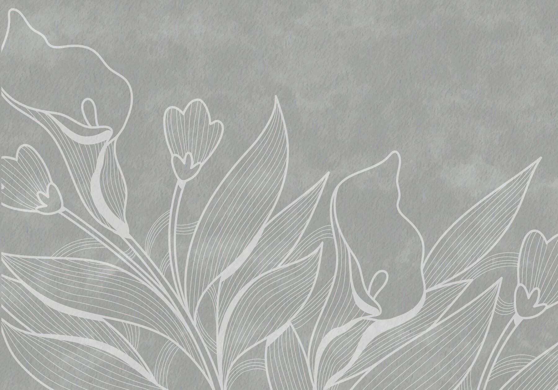 White line drawing of flowers White line drawing of flowers