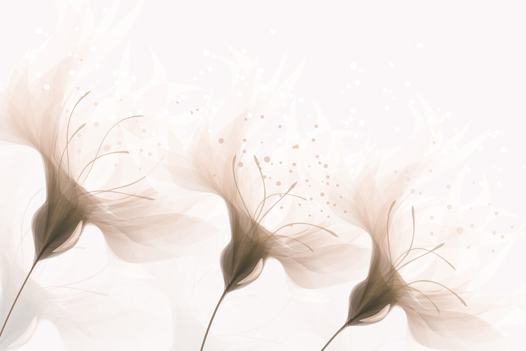 Soft petals in gentle hues Soft petals in gentle hues
