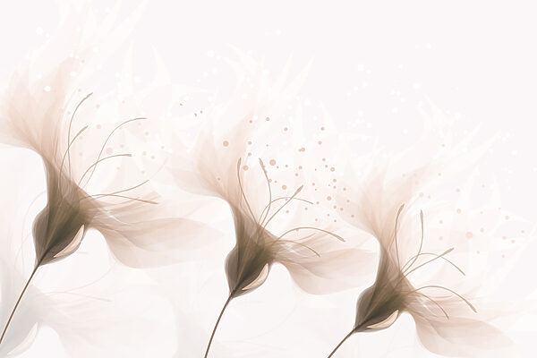 Soft petals in gentle hues Soft petals in gentle hues