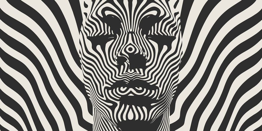 Black and white image of a person's face Black and white image of a person's face