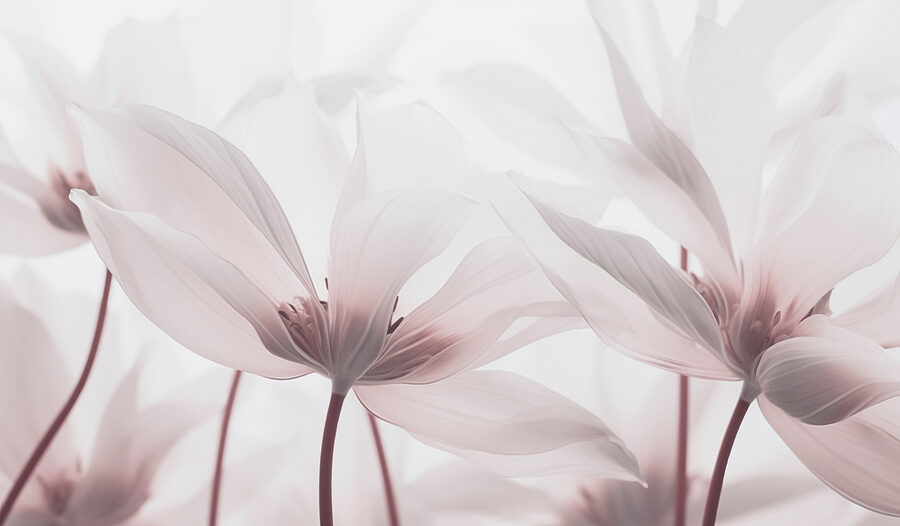 Delicate blossoms in soft hues Delicate blossoms in soft hues