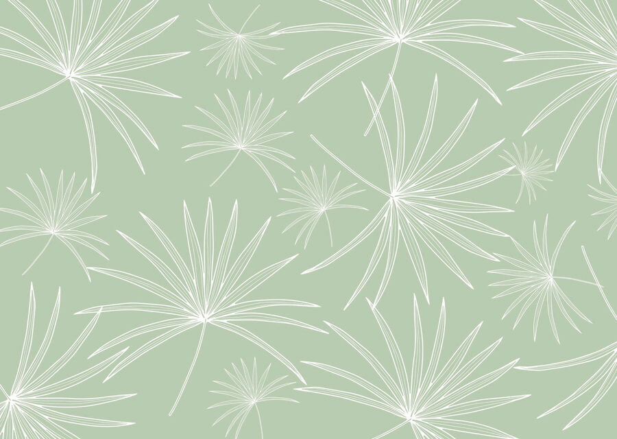 Wall murals Pattern of white leaves on a green background - Image 4