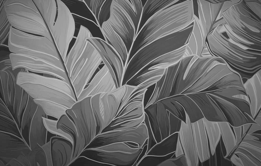 Natural patterns in monochrome tones Natural patterns in monochrome tones