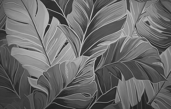 Natural patterns in monochrome tones Natural patterns in monochrome tones