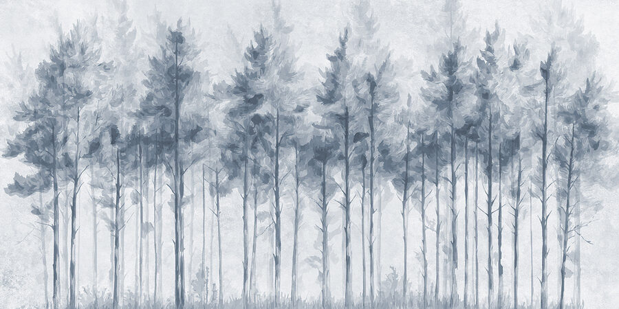 Wall murals Group of trees in a forest - Image 4